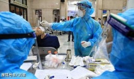 越南肺炎最新爆料,疫情动态与防控措施全解析