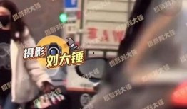 李易峰网游爆料视频播放,揭秘明星幕后游戏世界